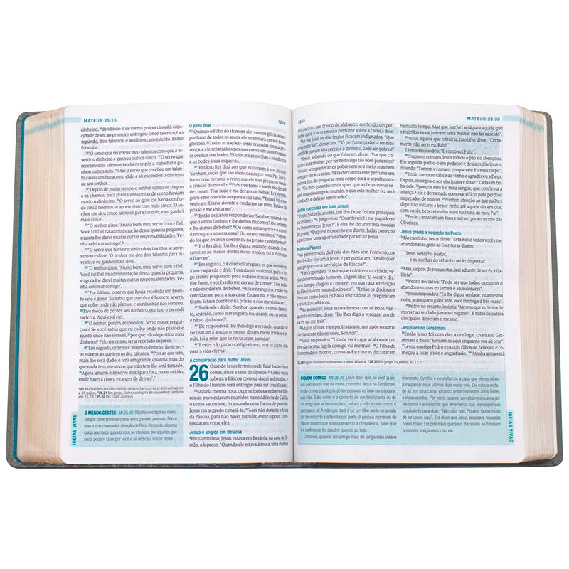 Bíblia De Estudo Swindoll Petra | NVT | Capa Pu | Cinza