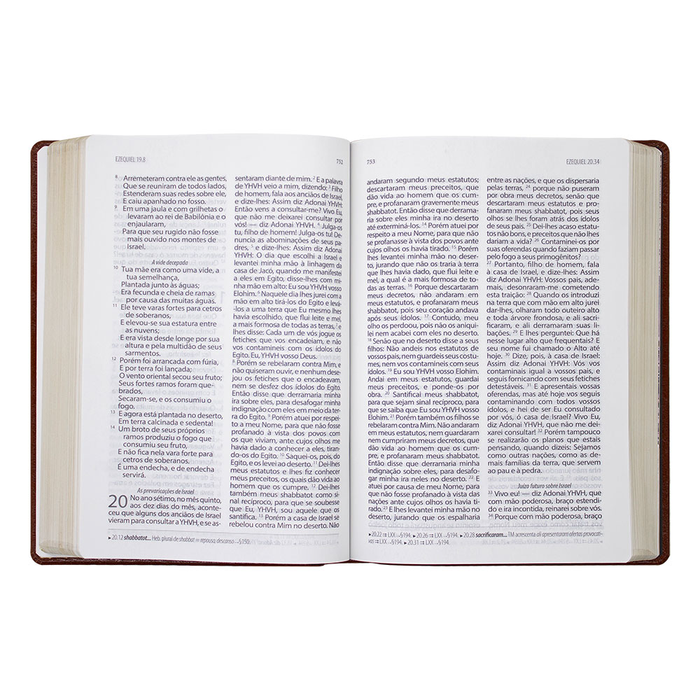 Bíblia de Estudo Textual | Btx | Couro Sintético | Letra Grande | Marrom