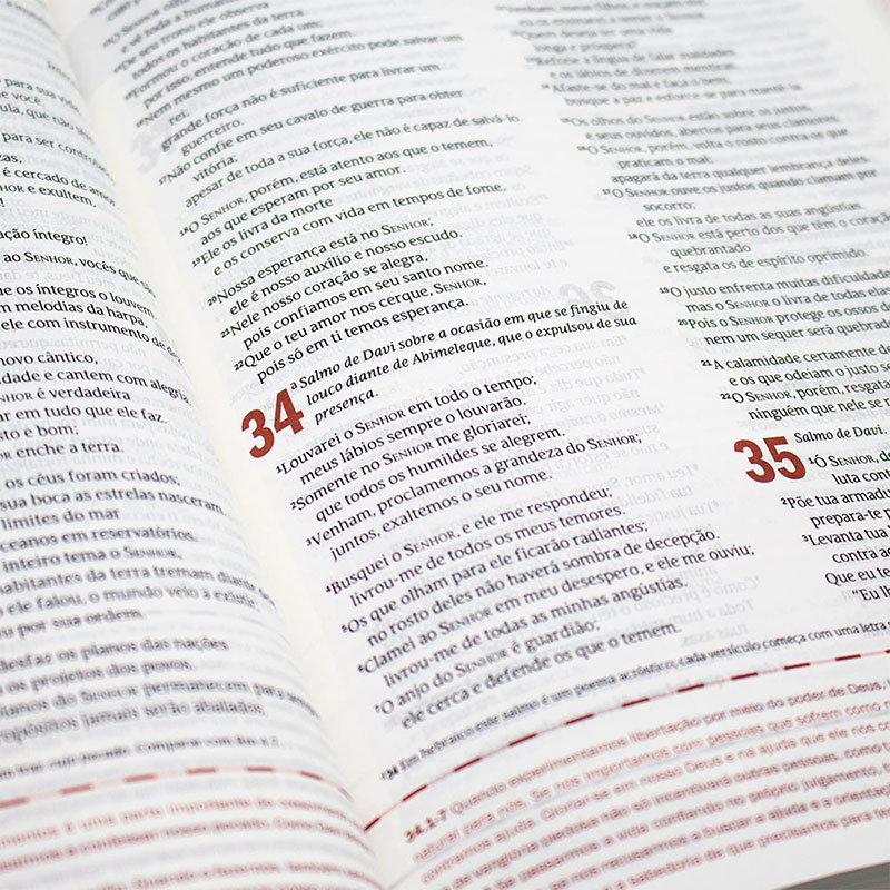 Bíblia Desafios De Todo Homem | NVT | Capa Luxo |Marrom