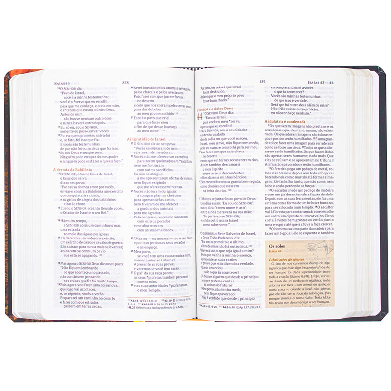 Bíblia Do Semeador Com Notas E Referências | NTLH | Capa Semiflexível | Ilustrada