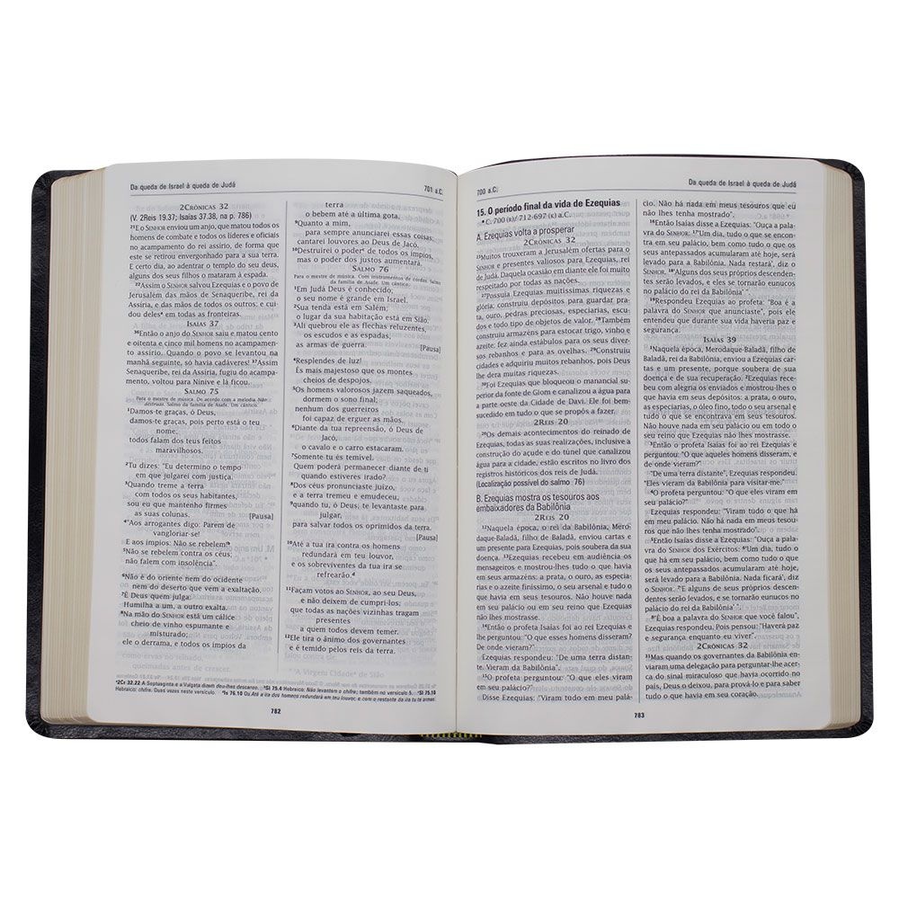 Bíblia Em Ordem Cronológica | NVI | Capa Pu | Preta