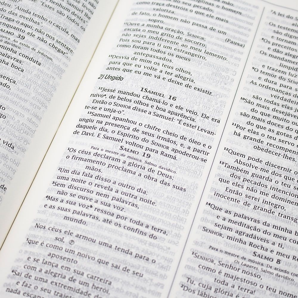 Bíblia Em Ordem Cronológica | NVI | Capa PU Vinho