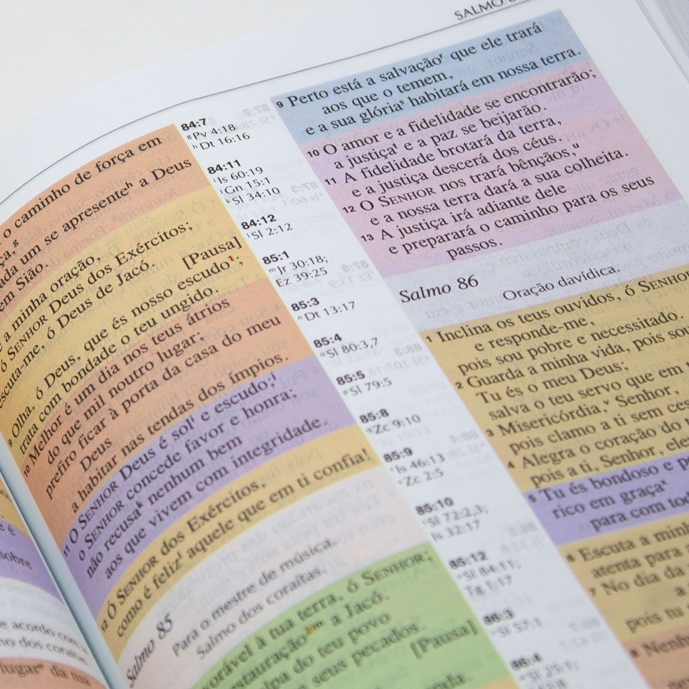 Bíblia Estudo Colorida | NVI | Capa Luxo | Letra Grande | Vinho