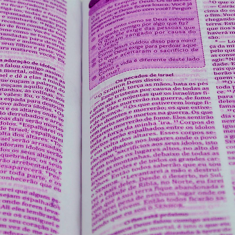 Bíblia Mais para Garotas | NTLH | Letra Normal | Capa Flexível Rosa Claro
