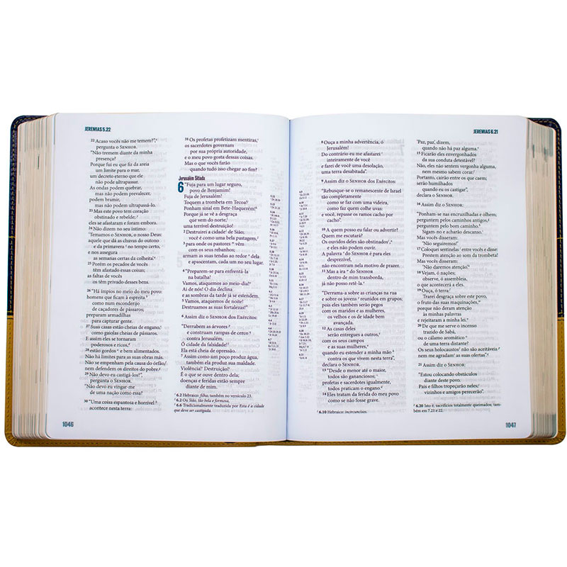 Bíblia Ministerial | Nvi | Duotone | Capa Pu | Azul e Bege