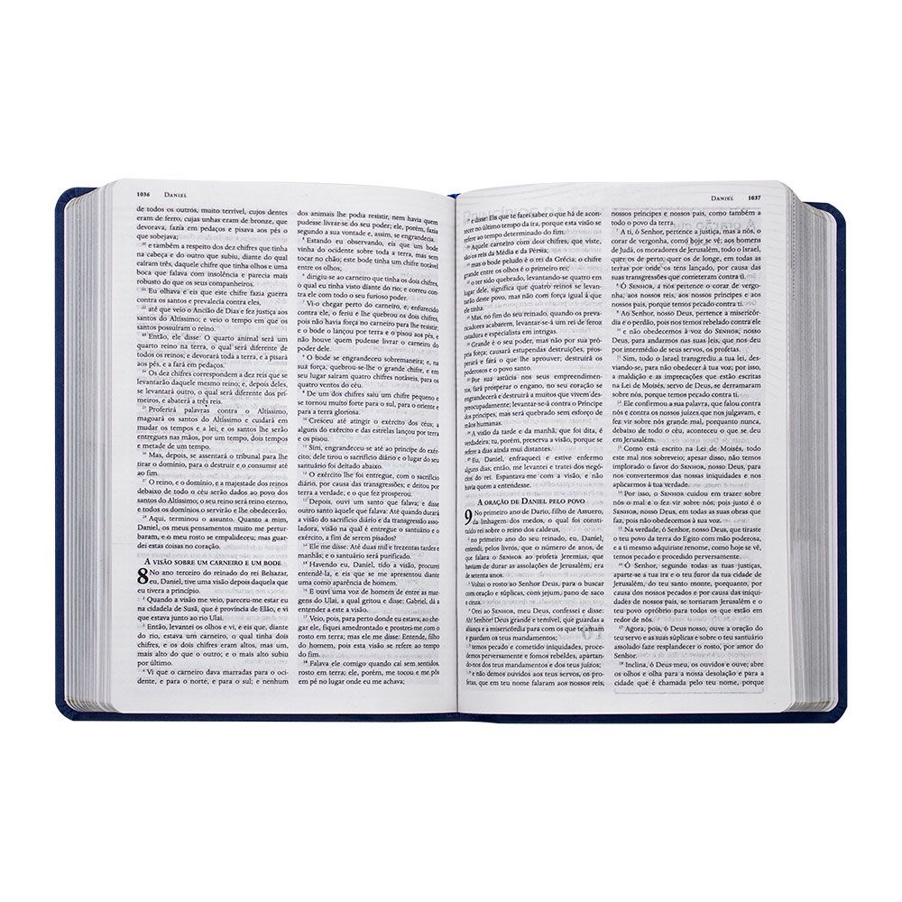 Bíblia Pregação Expositiva | ARA | Luxo | Capa Pu Azul