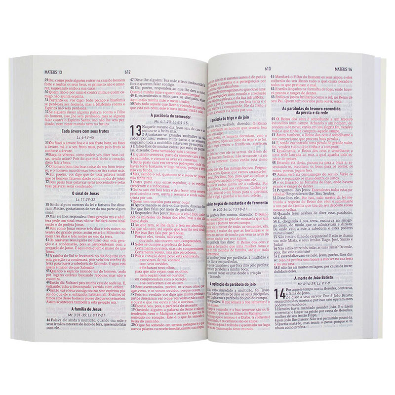 Bíblia Sagrada | AEC | Letras Vermelhas | Capa Brochura Aquarela