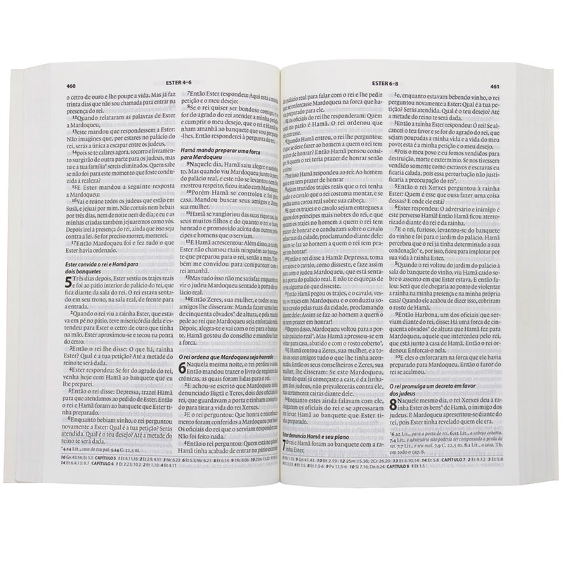 Bíblia Sagrada | Almeida Século 21 | Capa Brochura Lilás