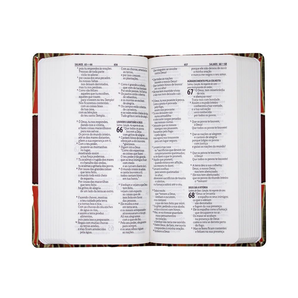 Bíblia Sagrada Carteira | NTLH | Capa Dura | Pêssego