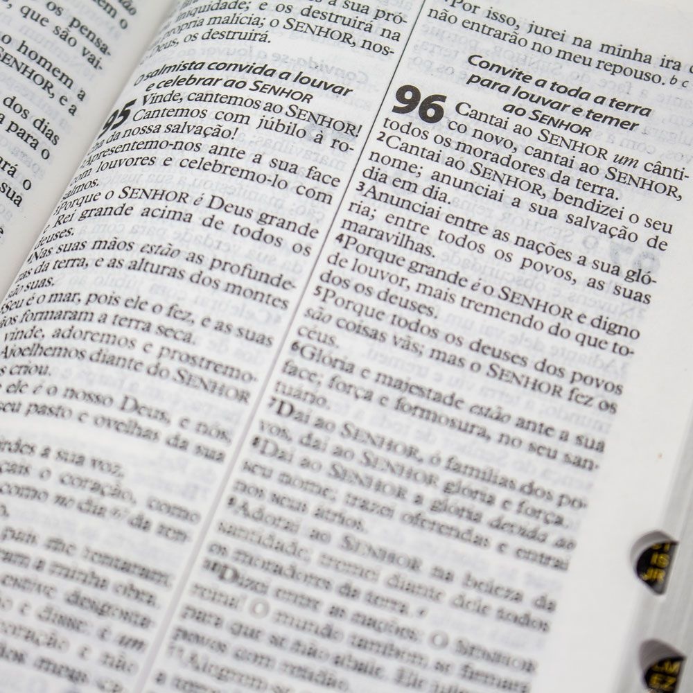 Bíblia Sagrada Com Índice | ARC | Capa Flexível Com Zíper | Verde e Azul