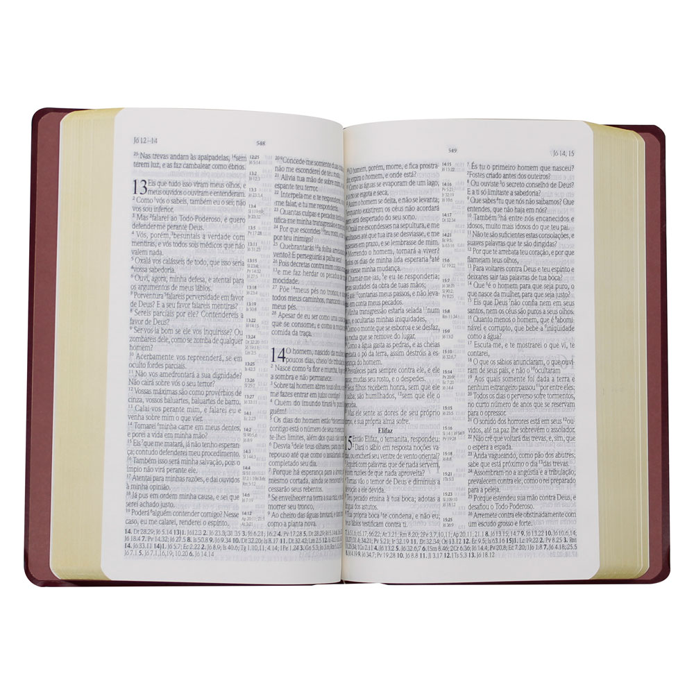 Bíblia Sagrada Com Referências | SBU| Capa Couro Sintético | Vinho