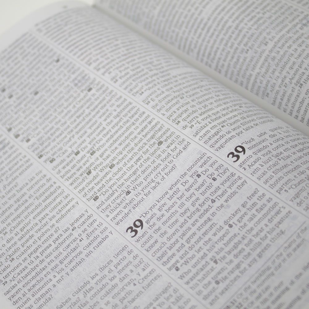 Bíblia Sagrada Edição Trilíngue | NVI | Capa Semiflexível | Preta
