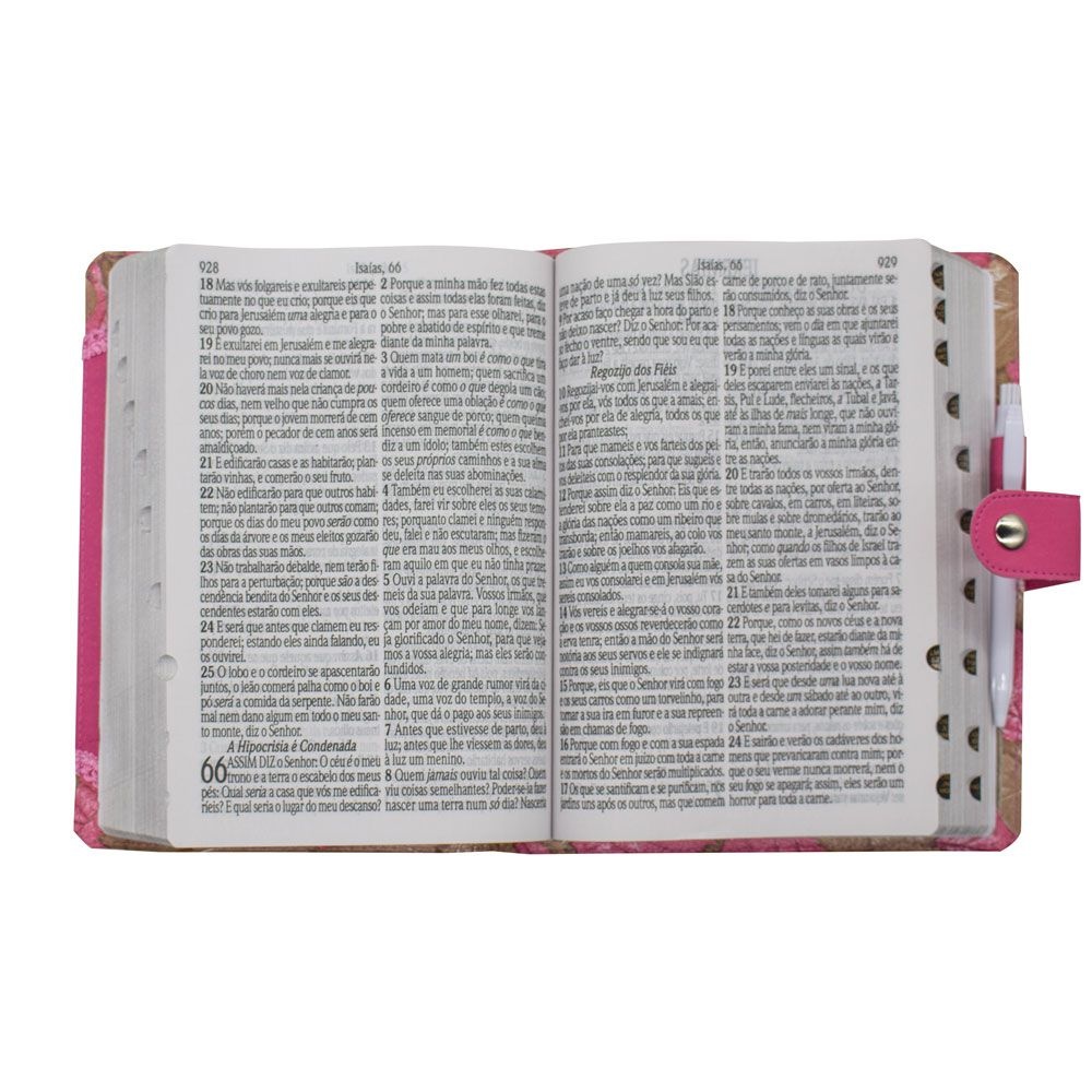 Bíblia Sagrada | Harpa Avivada E Corinhos | Capa Rosa E Dourada