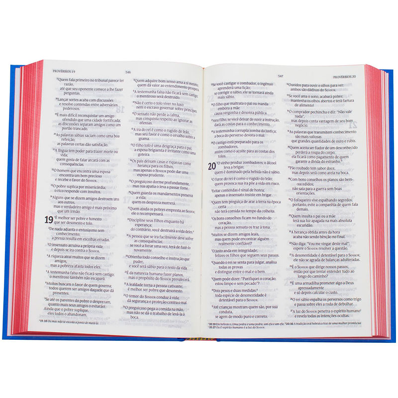 Bíblia Sagrada Isaías 53 | NVT | Capa Dura | Azul