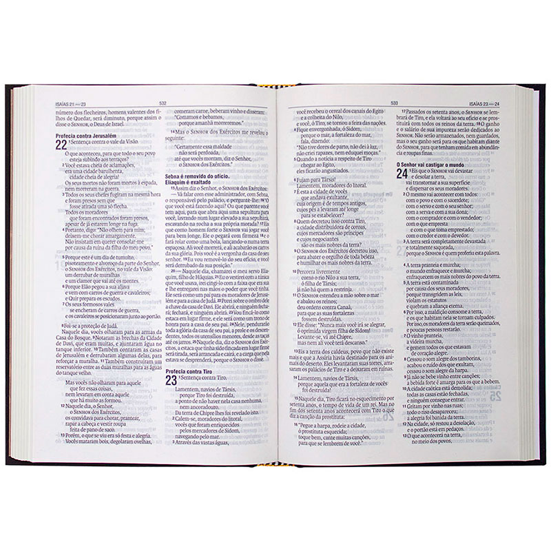 Bíblia Sagrada Jesus É Minha Âncora | NAA | Capa Dura | Preta E Amarela