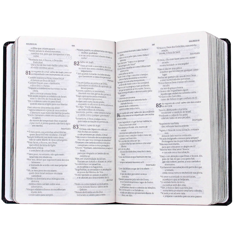 Bíblia Sagrada Jesus | NVT | Capa Soft Touch | Preta