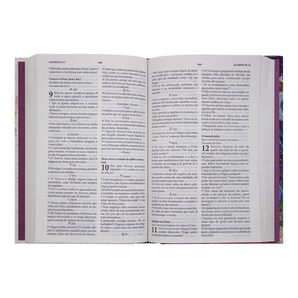 Bíblia Sagrada King James - Leão Aquarela| KJA | Capa Dura | Letra Grande | Ilustrada