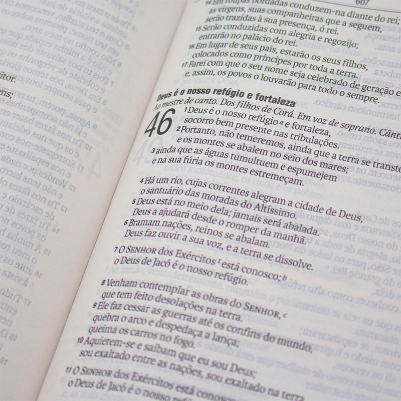 Bíblia Sagrada - Naa - Leão - Letra Grande - Capa Couro Sintético Marrom