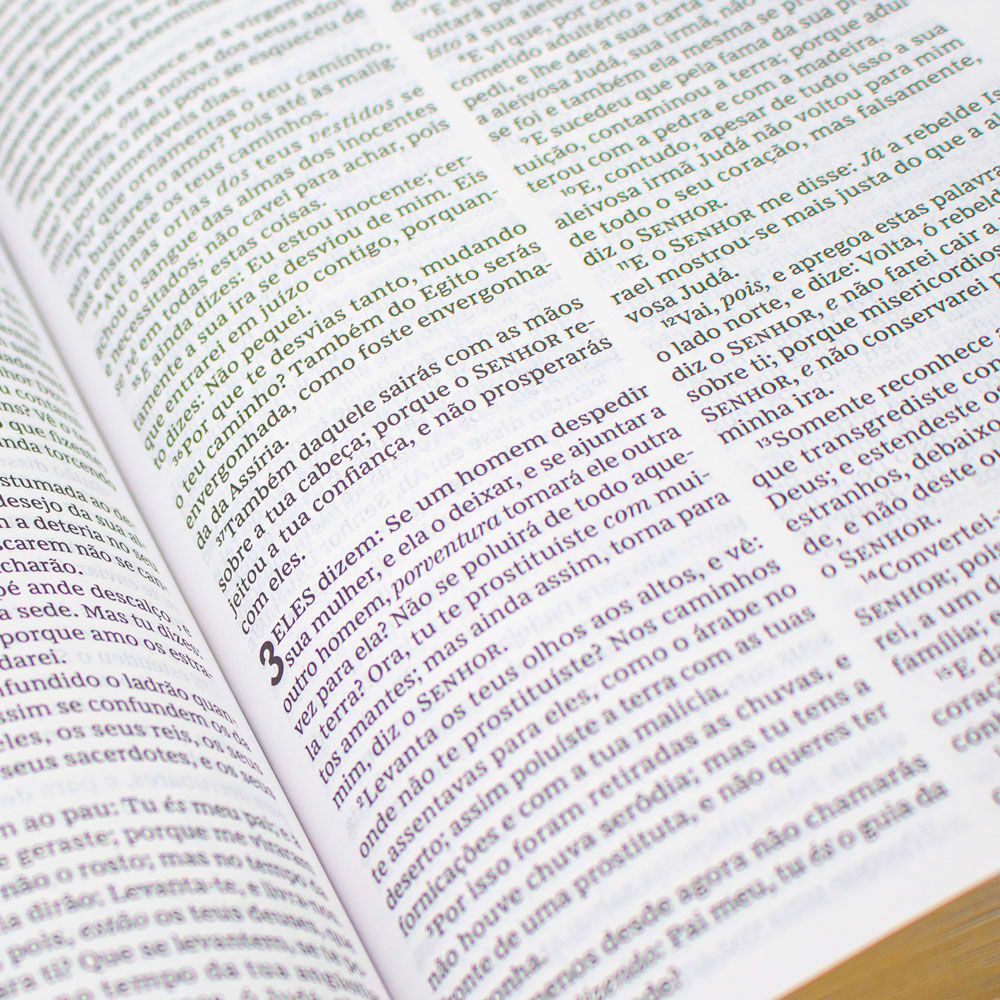 Bíblia Sagrada Leitura Perfeita Floral | ACF | Capa Soft Touch | Bordô