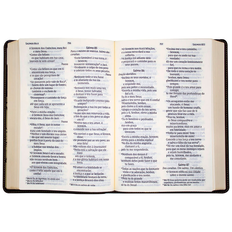 Bíblia Sagrada Leitura Perfeita | NVI | Capa Couro Soft | Letra Gigante | Marrom