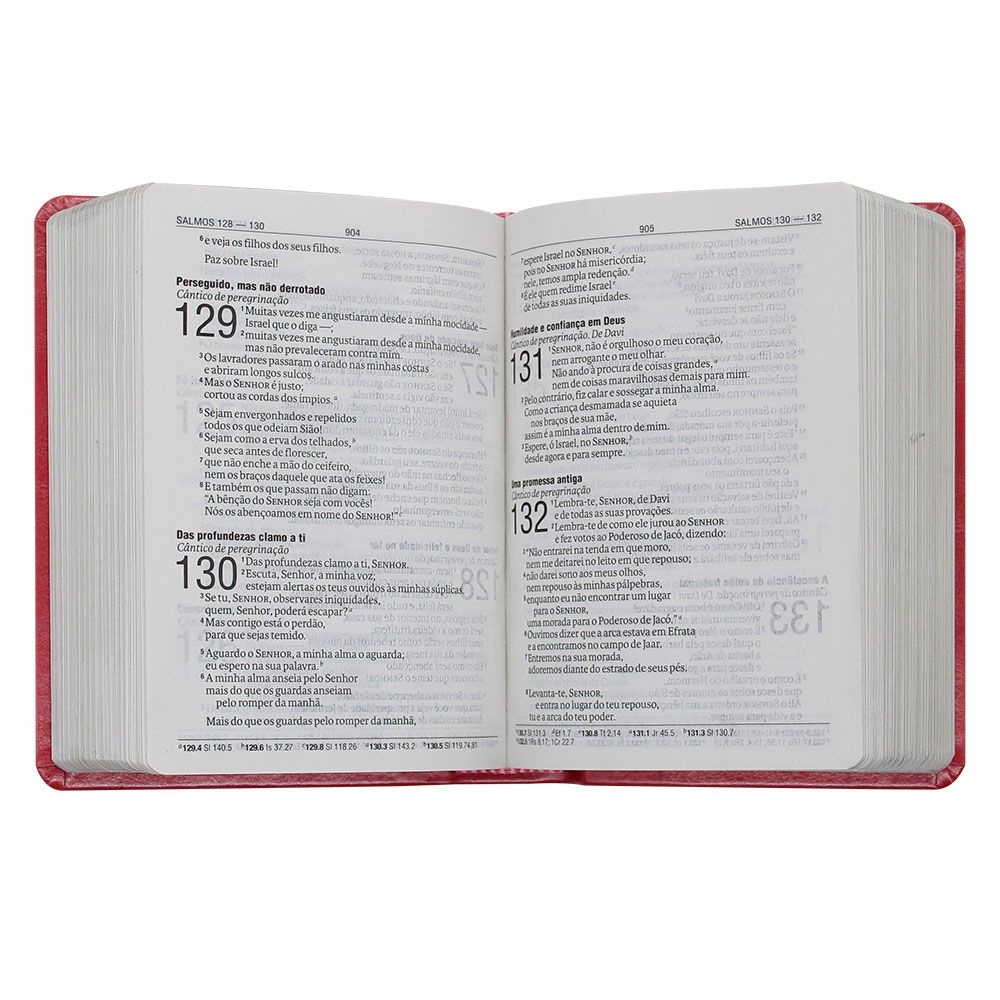 Bíblia Sagrada | NAA| Capa Semiflexível | Letra Grande | Pêssego