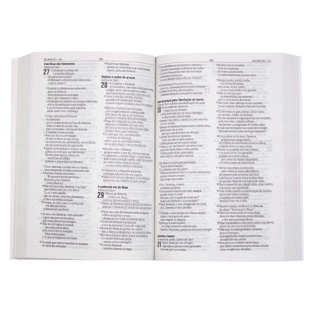 Bíblia Sagrada Neon | NAA | Capa Flexível | 3 Cores
