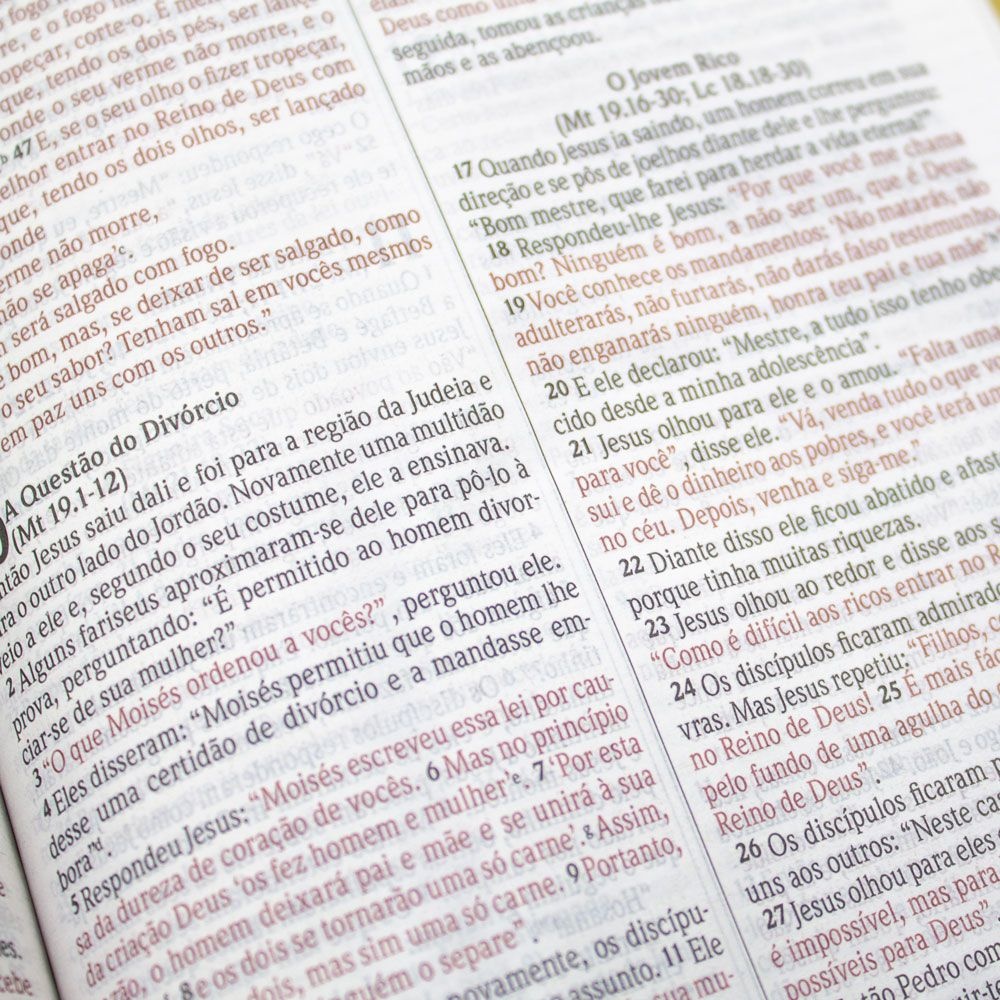 Bíblia Sagrada Nova Ortografia | NVI | Capa Dura Semiluxo | Verde Água