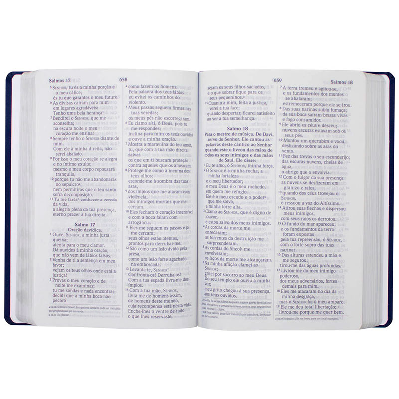 Bíblia Sagrada Nova Ortografia | NVI | Capa Semiflexível | Letra Extragigante | Azul