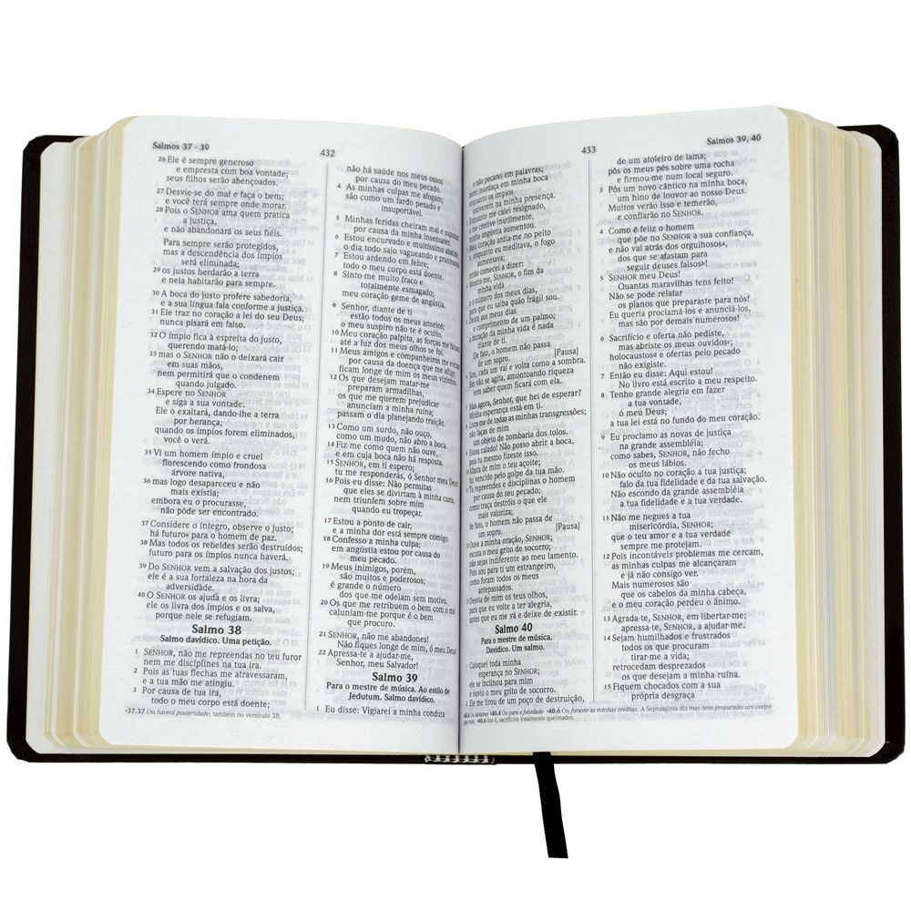 Bíblia Sagrada | NVI | Capa Semiluxo | Marrom