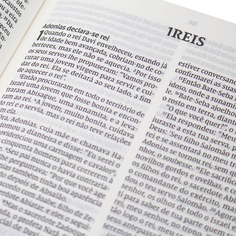 Bíblia Sagrada | NVI | Leitura Perfeita | Letra Grande | Capa Pu Verde