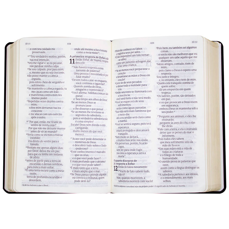Bíblia Sagrada | Nvt | Capa Soft Touch | Letra Grande | Preta com Folhas Douradas