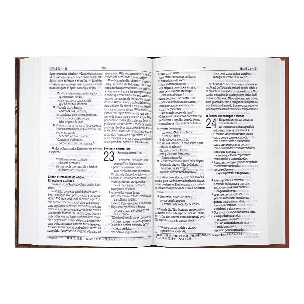 Bíblia Sagrada Oleiro | NAA | Capa Dura | Marrom