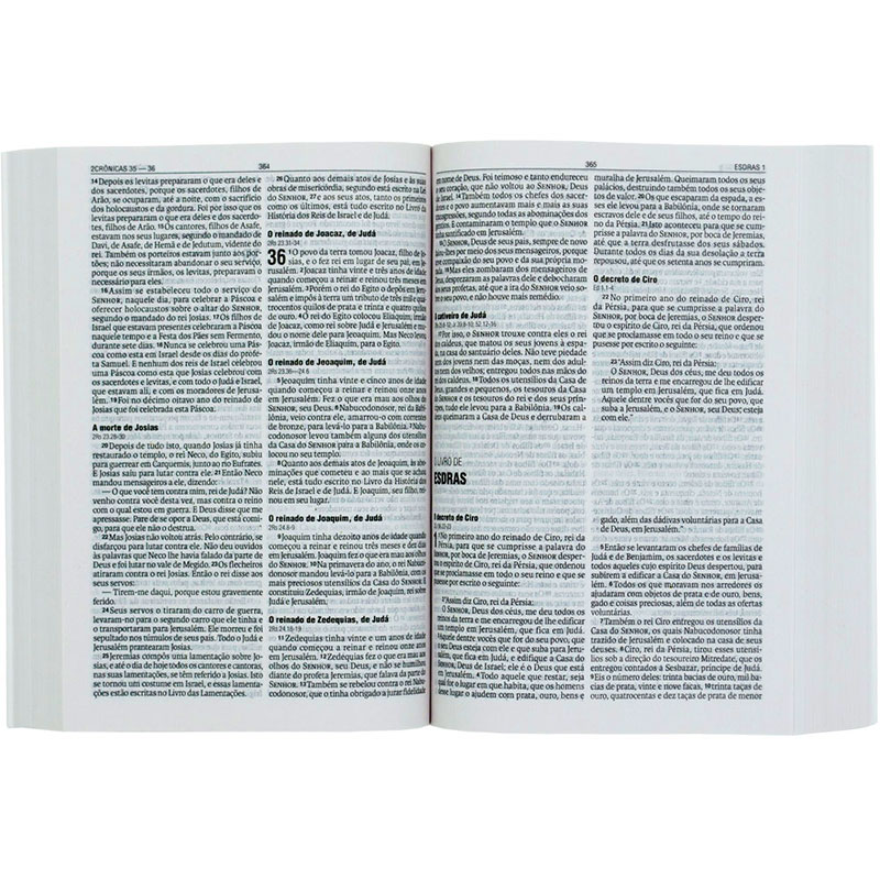 Bíblia Sagrada Para Evangelismo E Doações | NAA | Capa Brochura | Verde