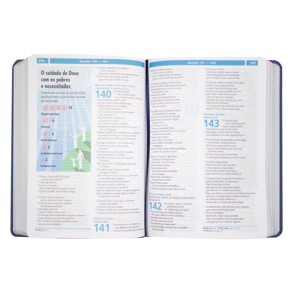 Bíblia Visual Com Infográficos | NTLH | Capa Couro Sintético | Azul