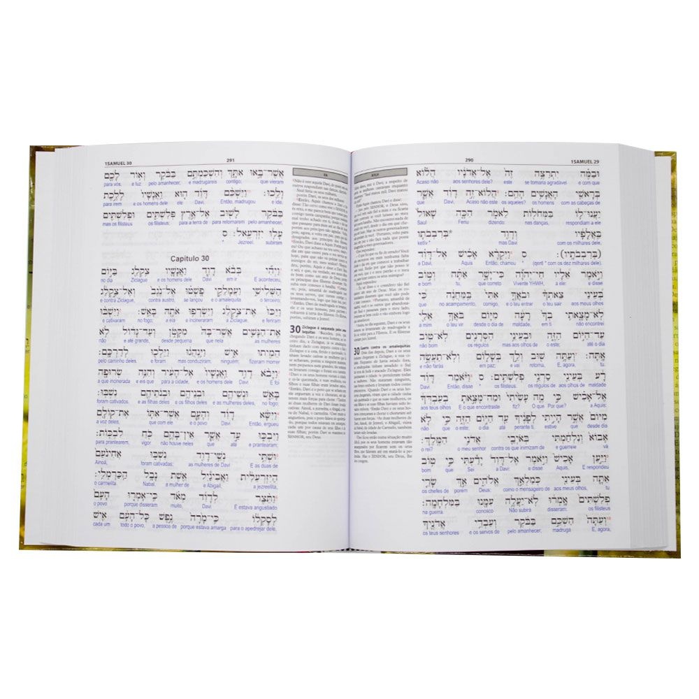 Livro: Antigo Testamento Interlinear Hebraico - Português Volume 2 | SBB