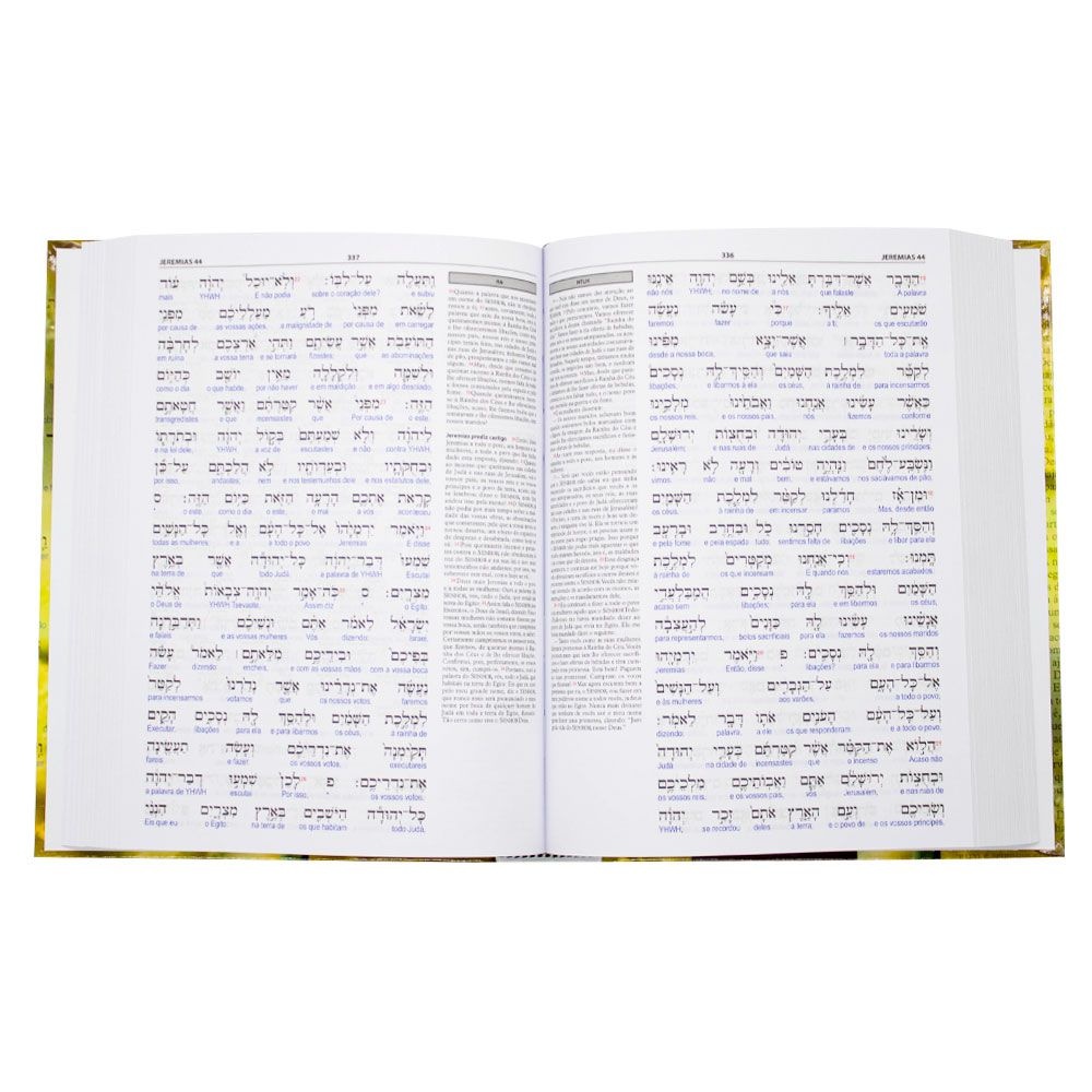 Livro: Antigo Testamento Interlinear Hebraico - Português Volume 3 | SBB