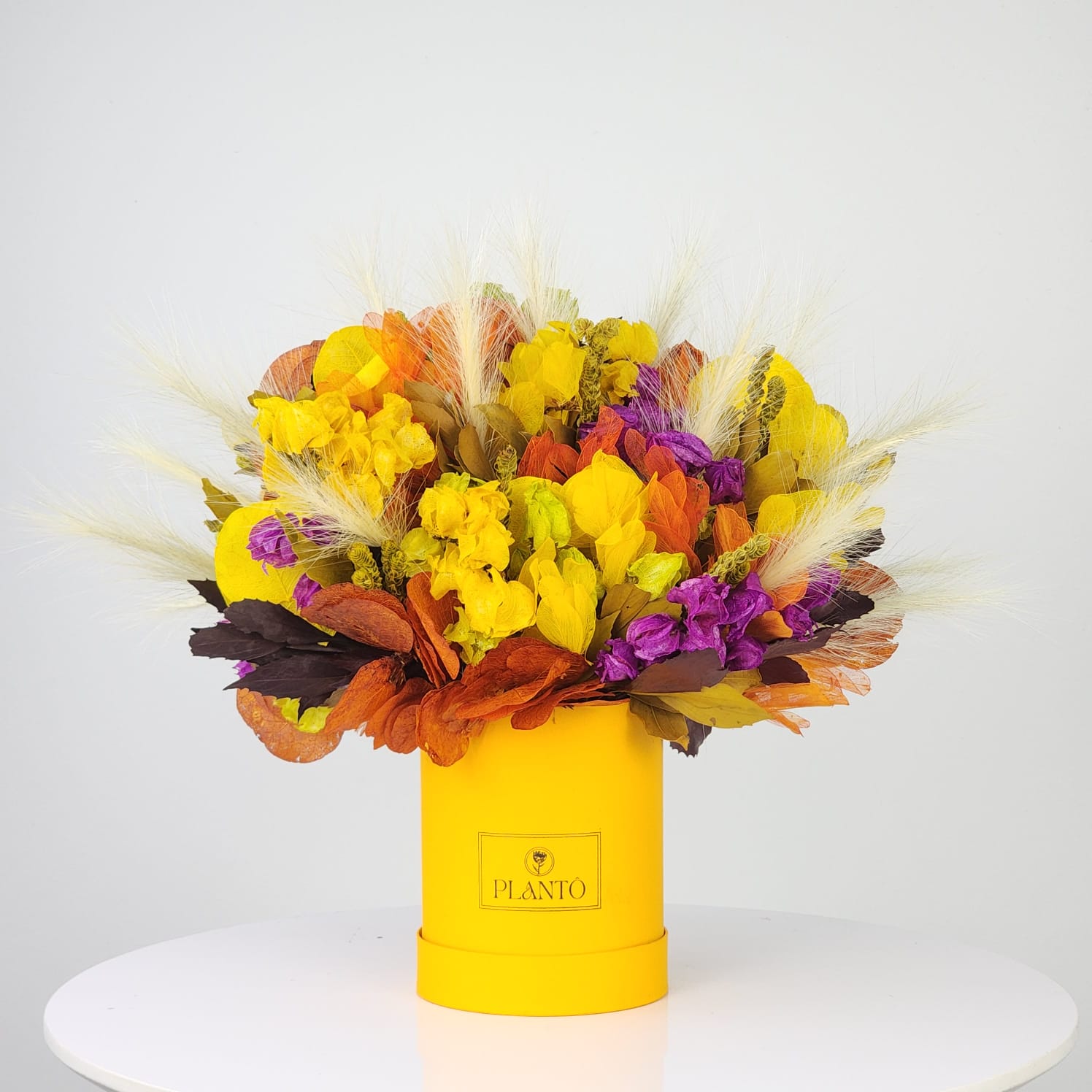Box de Flores Desidratadas Presenteável Stunning com Caixa Amarela P