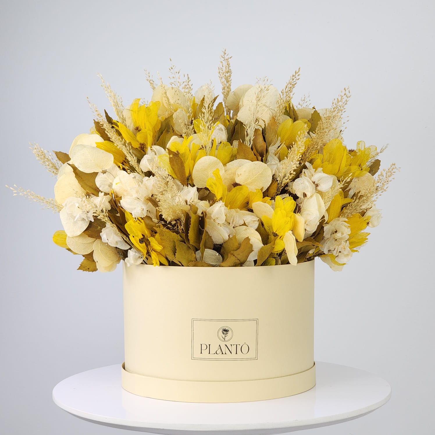 Box de Flores Desidratadas Presenteável Sunny com Caixa Bege G