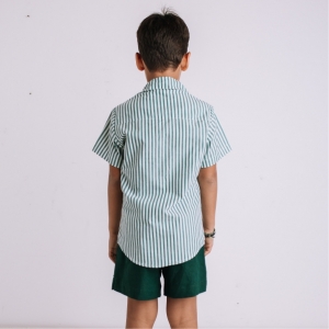 Camisa Masculina Algodão - Listrado Verde/Branco