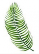 Quadro decorativo folha de palmeira