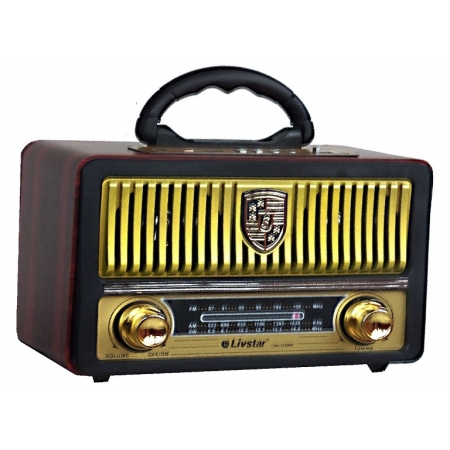 Radio Portátil Livstar Cnn-3220Br Am Fm Usb Bluetooth 110v/220v