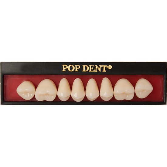 Dente Popdent Posterior Superior - DENTBRAS