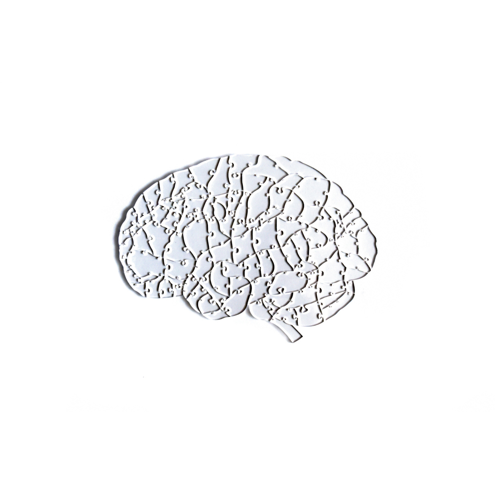Quebra Cabeça Transparente Cérebro - 102 Peças