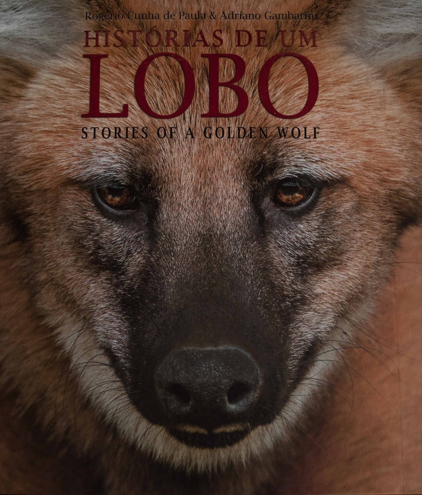 Livro Histórias de um Lobo