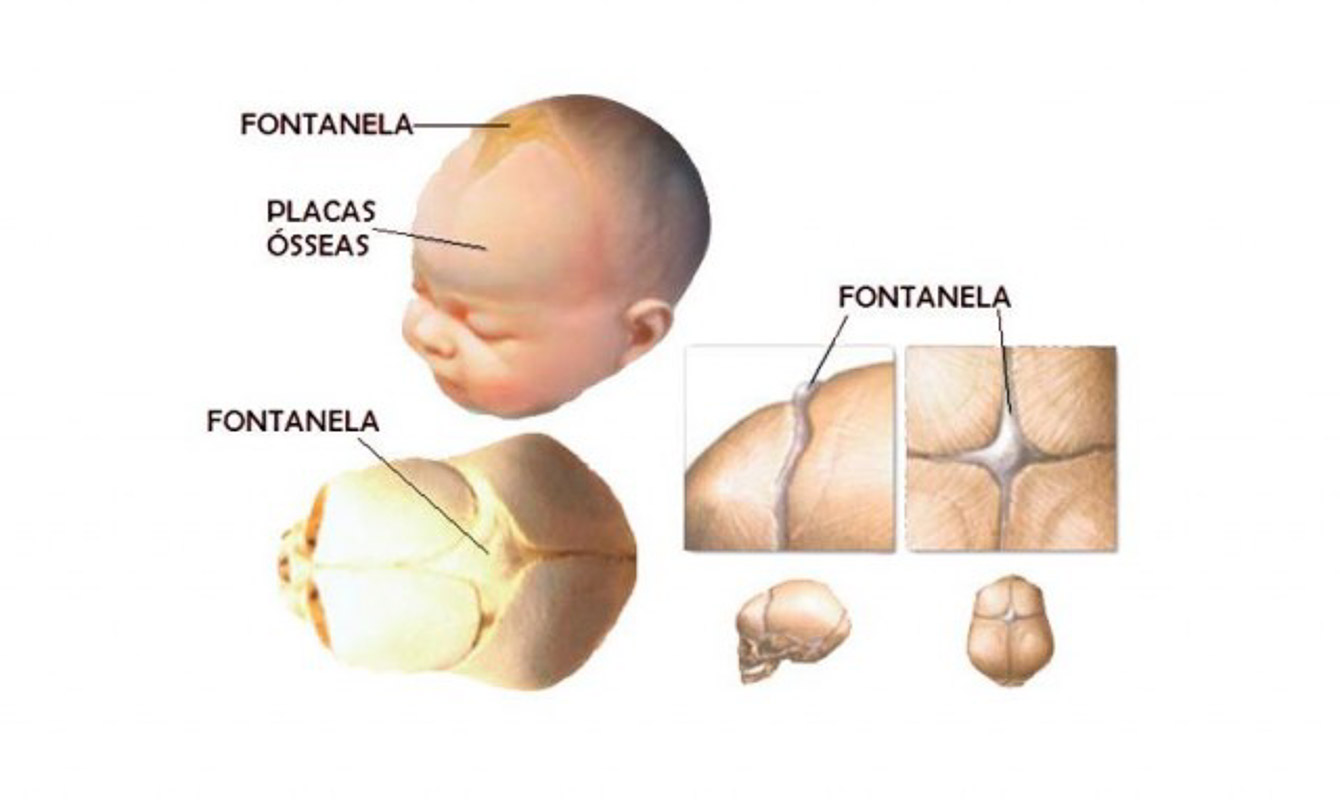 Boneco Bebe Recém Nascido Avançado - COLEMAN - COL1409-B