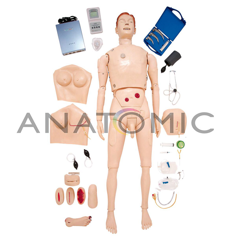 Manequim Bissexual, Simulador para Treinamento de Habilidades em Enfermagem e ACLS - ANATOMIC TZJ-0512