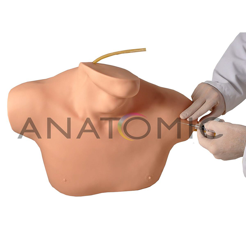 Simulador de Cateterismo Venoso Central - ANATOMIC TGD-4069-B