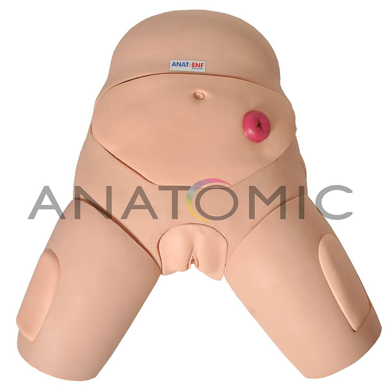 Simulador de Cateterismo Vesical Bissexual c/ Dispositivo de Controle e Cuidados com Colostomia ANATOMIC TGD-4008
