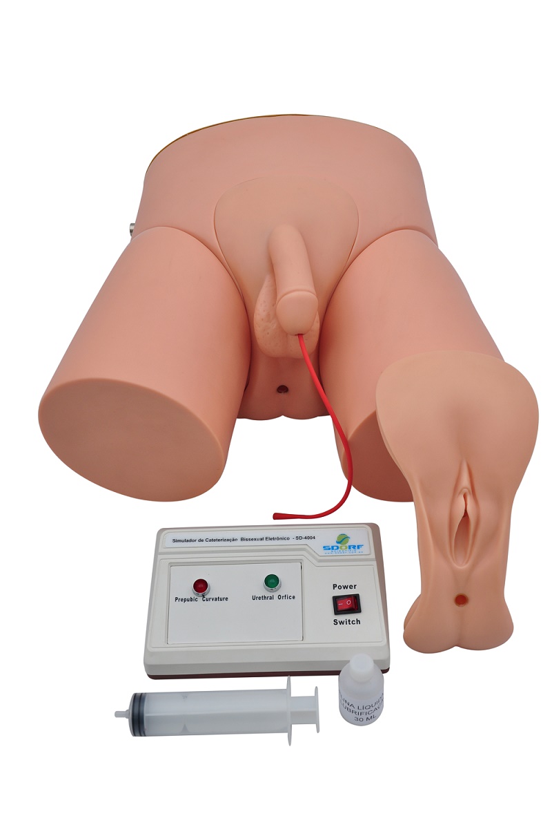 Simulador de Cateterização Bissexual Adulto c/ Dispositivo Eletrônico - Sdorf  SD-4004