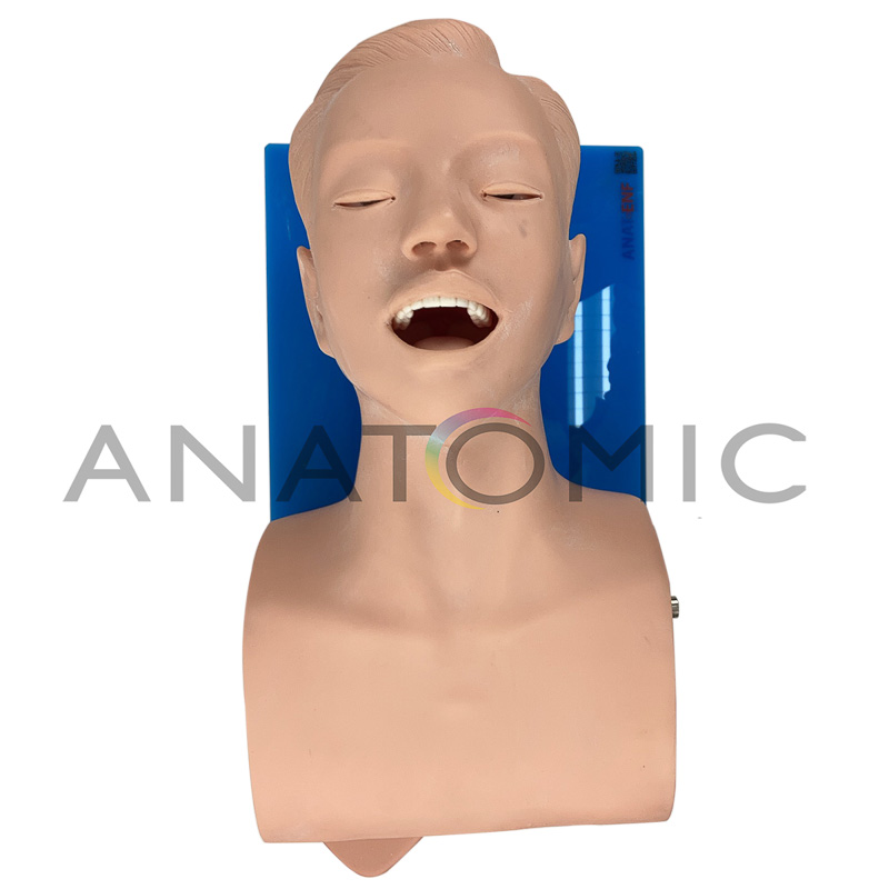 Simulador para Treino de Intubação Adulto com Dispositivo de Controle - ANATOMIC TGD-4007